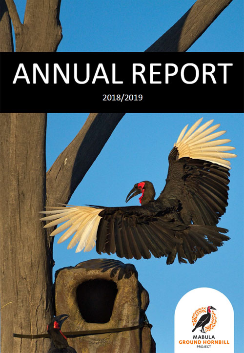 Mabula Ground-Hornbill Annual Report