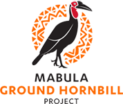 Mabula Ground-Hornbill Project